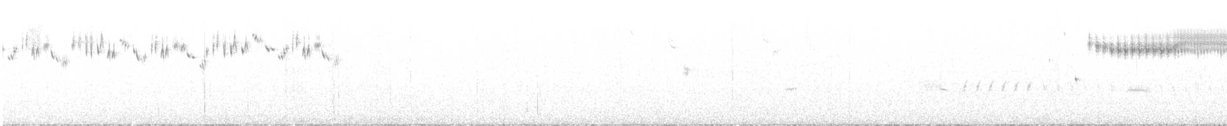 Кузнечиковая овсянка-барсучок - ML621182118