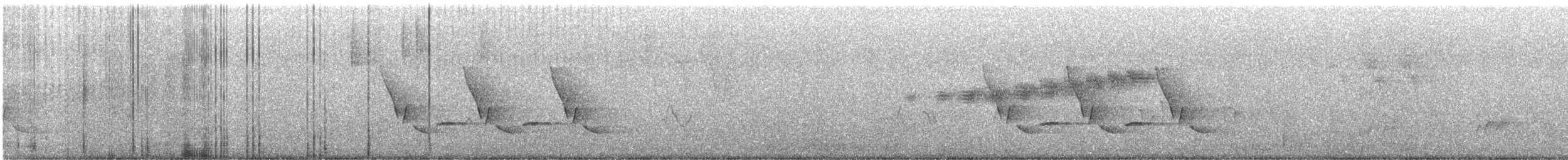 Поплітник каролінський - ML621182134