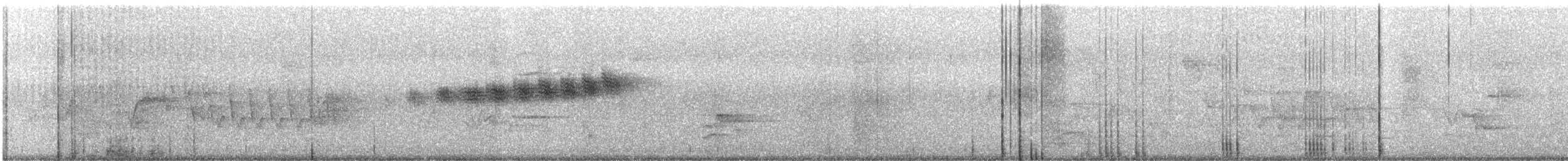 Prairie Warbler - ML621182181