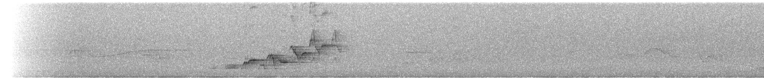 Дрізд-короткодзьоб Cвенсона - ML621183269