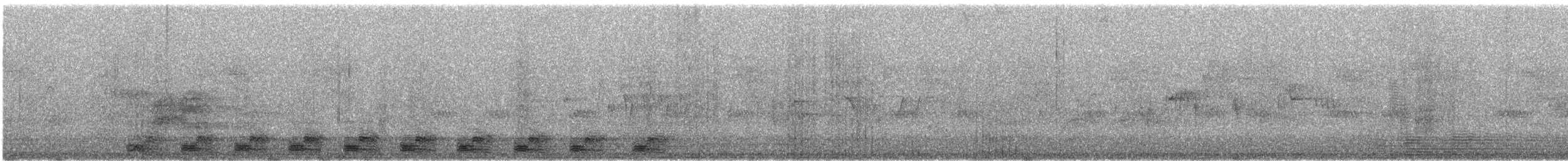Trogon élégant (groupe ambiguus) - ML621183613