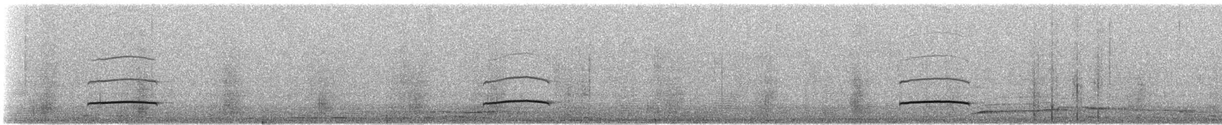 Boz Başlı Sinekkapan (olivascens) - ML621183657