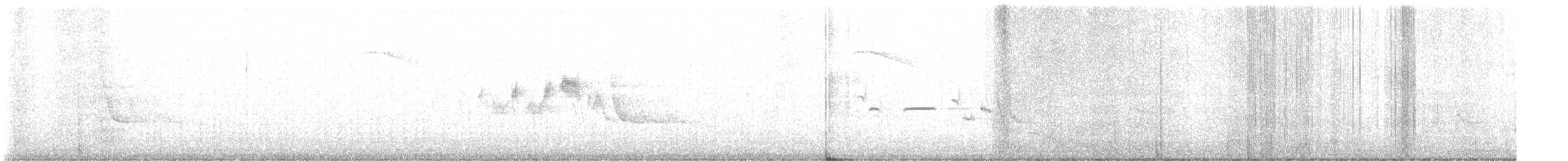 Black-throated Gray Warbler - ML621184300