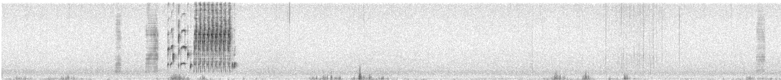 Marsh Wren (palustris Group) - ML621184407