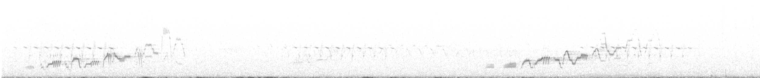 brunkinnskogtrost (swainsoni gr.) - ML621184485