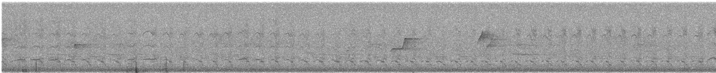 Дятел-смоктун жовточеревий x білочеревий - ML621185048