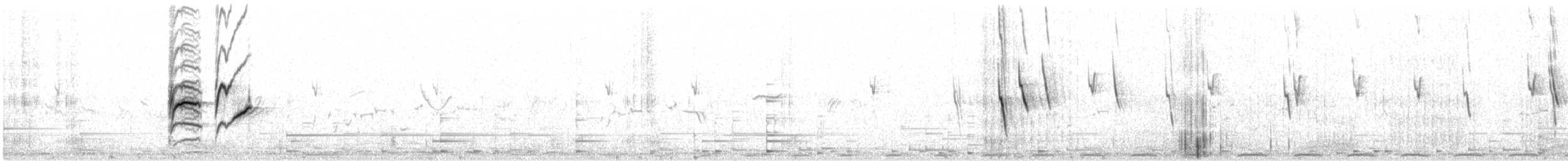 Canario del Drakensberg - ML621185218