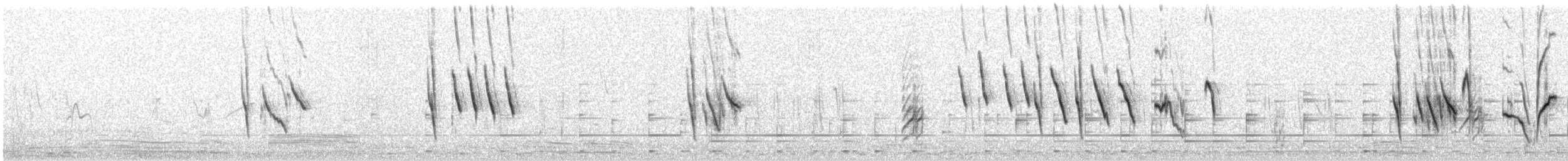 Canario del Drakensberg - ML621185266