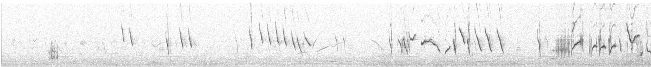 Canario del Drakensberg - ML621185268