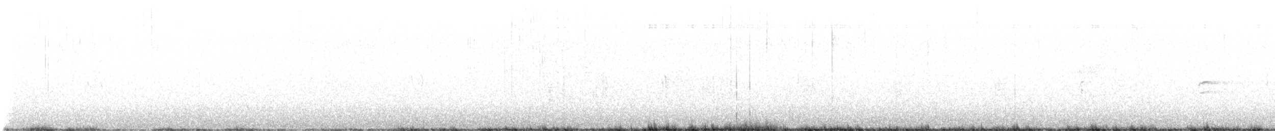 křivka bělokřídlá - ML621185350