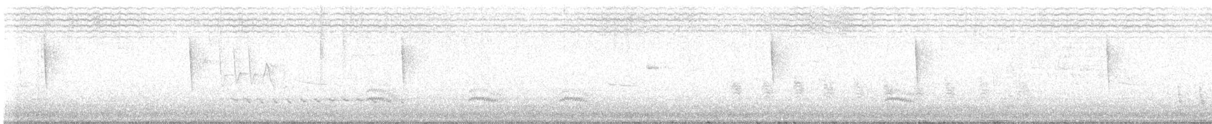 Weißbrustkleiber - ML621185560