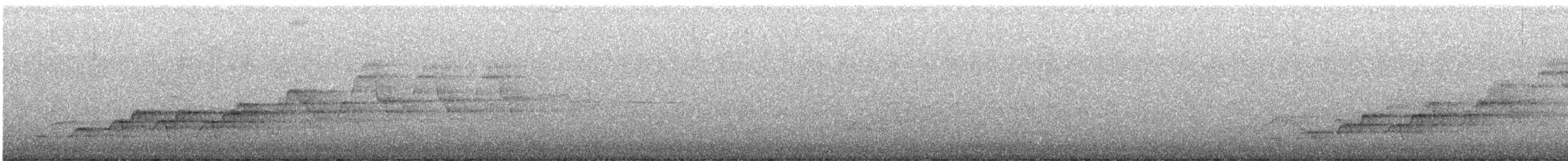 Дрізд-короткодзьоб Cвенсона - ML621186765