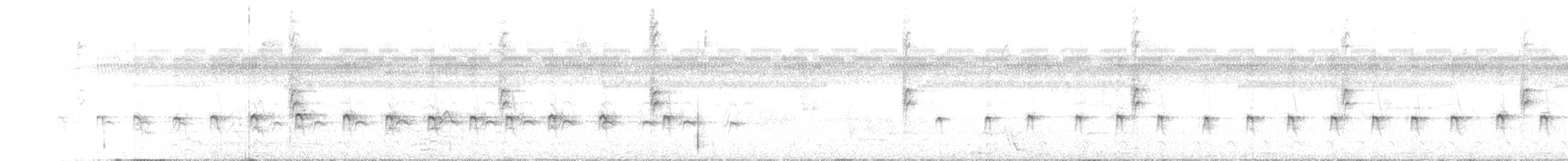 シンジュトビ - ML621186790