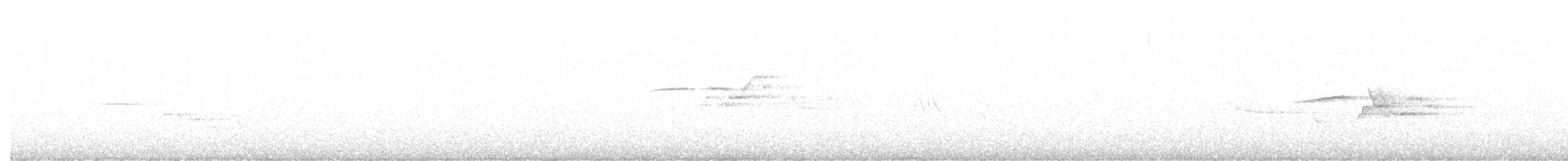 Дрізд-короткодзьоб плямистоволий [група guttatus] - ML621186996