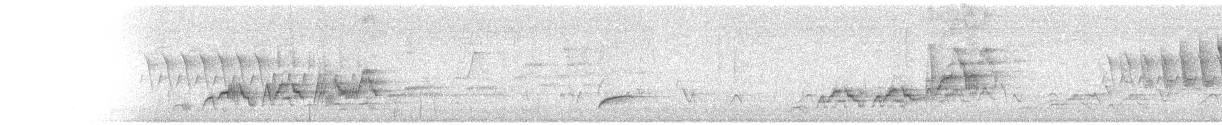 Дрізд-короткодзьоб Cвенсона - ML621188908