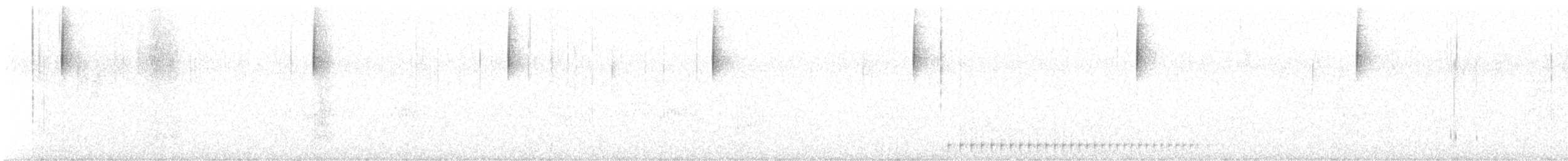 Полосатохвостый дятел - ML621189546