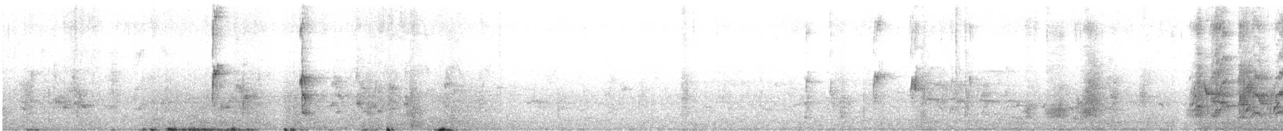 svarthetteparakitt - ML621189754