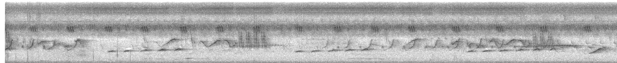 Зозуля-дронго вилохвоста - ML621189904