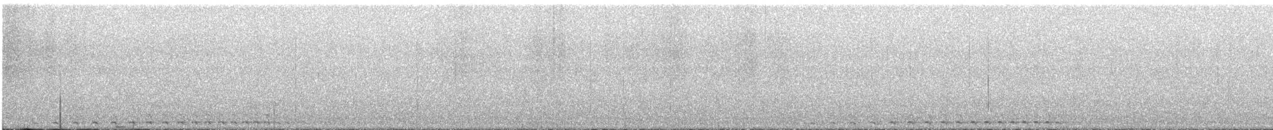 Western Screech-Owl - ML621190373