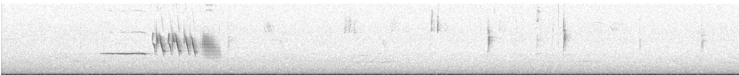 Bruant à couronne blanche (nuttalli/pugetensis) - ML621190383