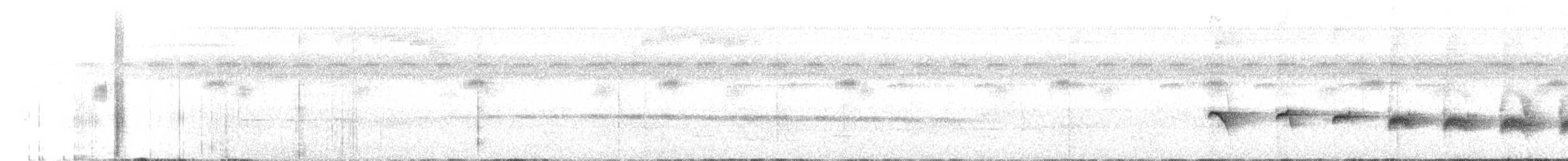 Gelbbrauen-Ameisenschnäpper - ML621190405