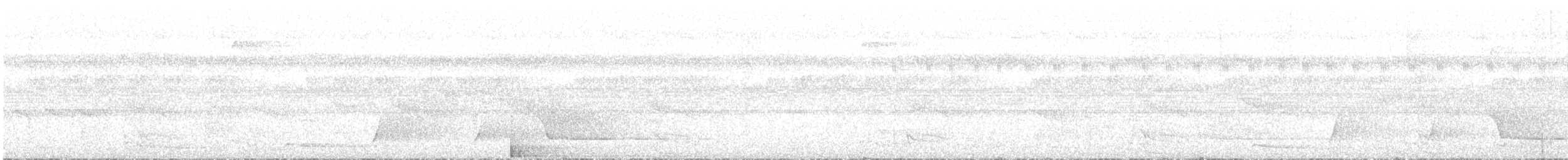 Islıkçı Kotinga - ML621191505