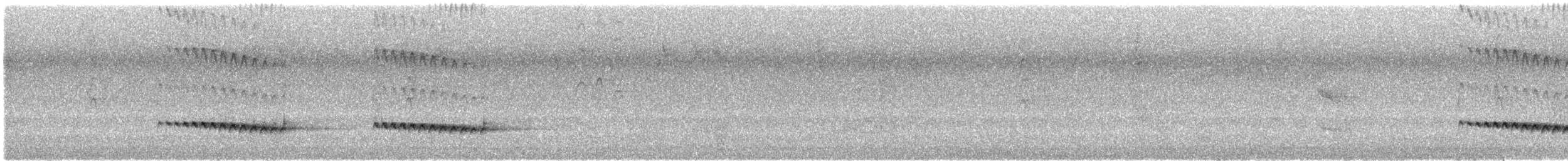 Веерохвостая кукушка - ML621191653