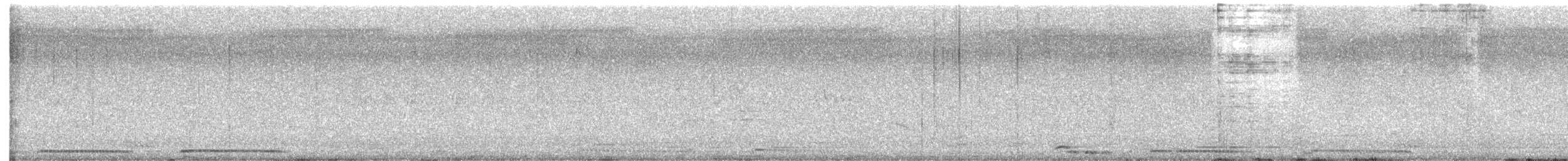 engoulevent sp. - ML621192359
