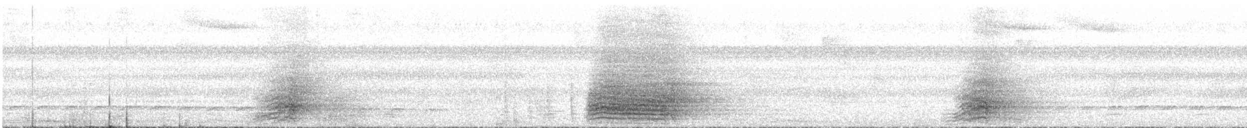 Ara chloroptère - ML621192401