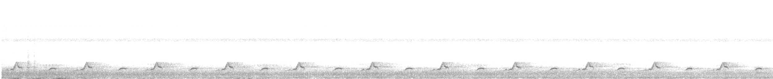 Schwarzkehl-Nachtschwalbe - ML621193031