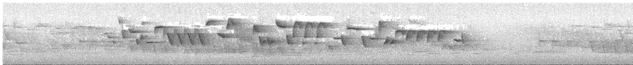 Troglodyte mignon - ML621193136