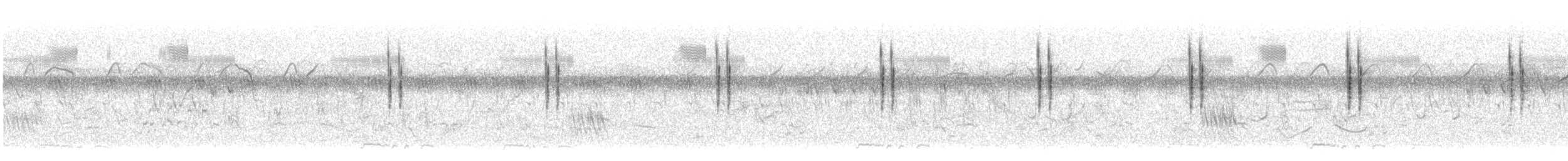 棕扇尾鶯(tinnabulans群) - ML621193631