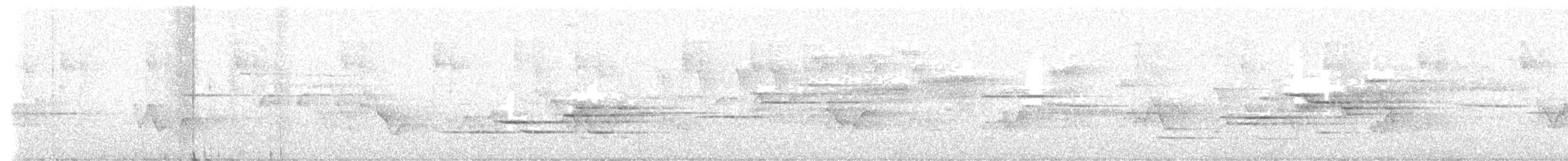 Münzevi Bülbül Ardıcı - ML621194990