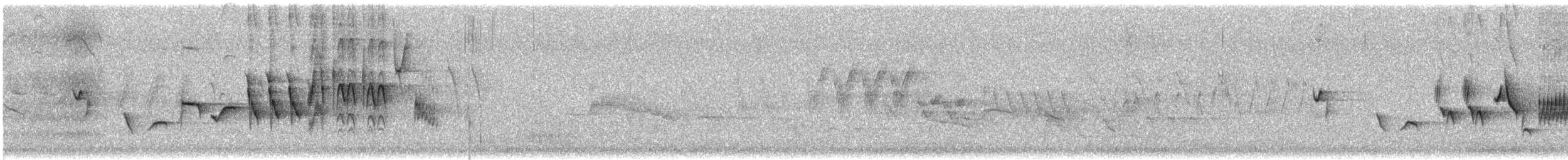 revespurv (megarhyncha gr.) (tykknebbrevespurv) - ML621195043
