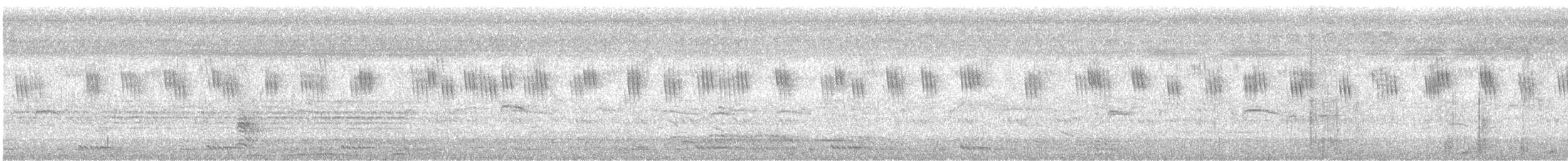 斑文鳥 - ML621195277