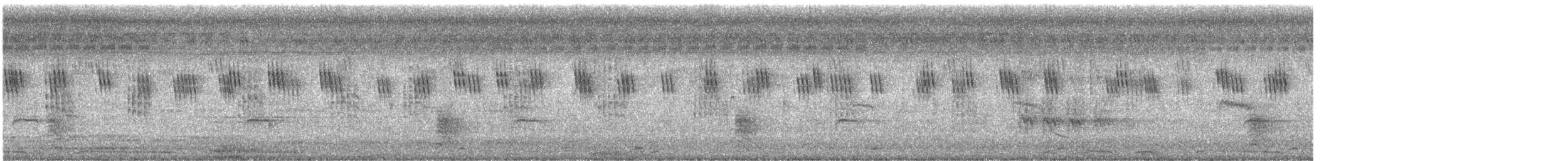 斑文鳥 - ML621195282