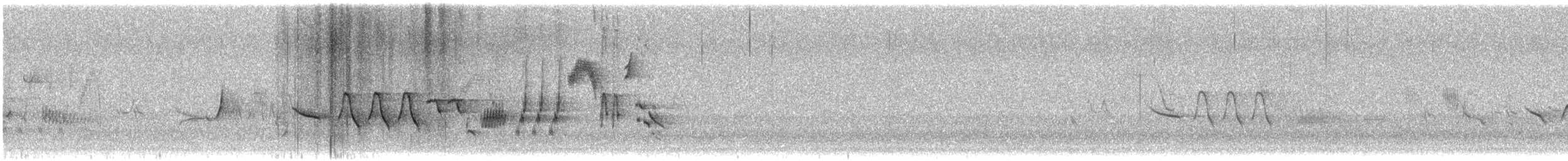Bruant fauve (groupe megarhyncha) - ML621195376