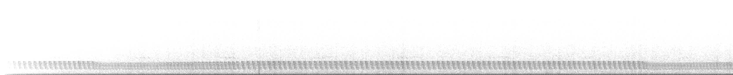 Square-tailed Nightjar - ML621195827