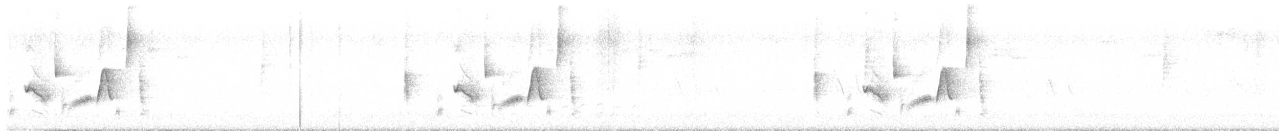Vireo Ojiblanco - ML621196113