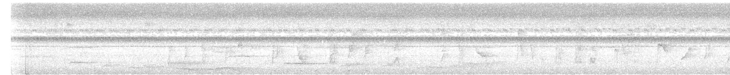 Gobemoustique à tête grise - ML621196131