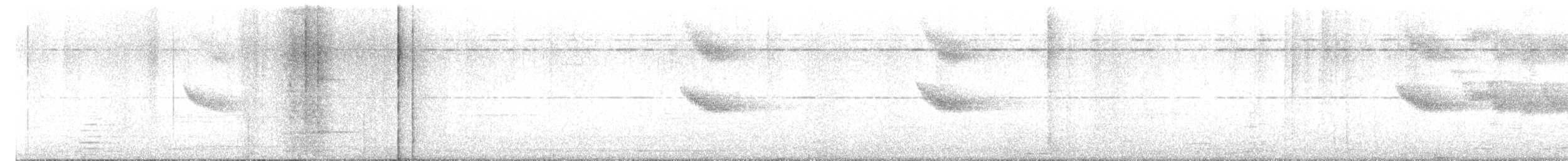 白斑紫嘯鶇 - ML621197638