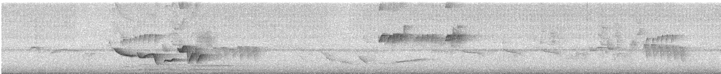 Speckle-breasted Wren (Marañon) - ML621198289