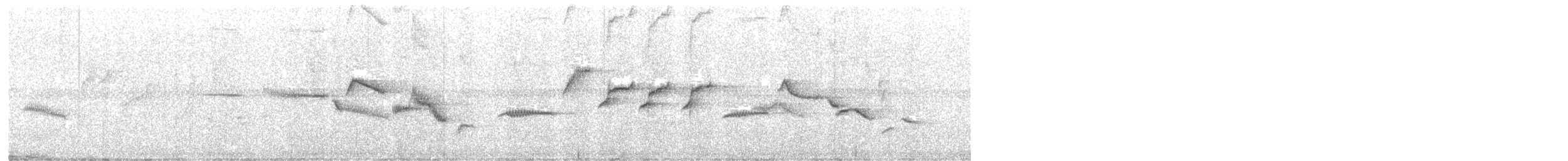 White-bellied Sholakili - ML621198488