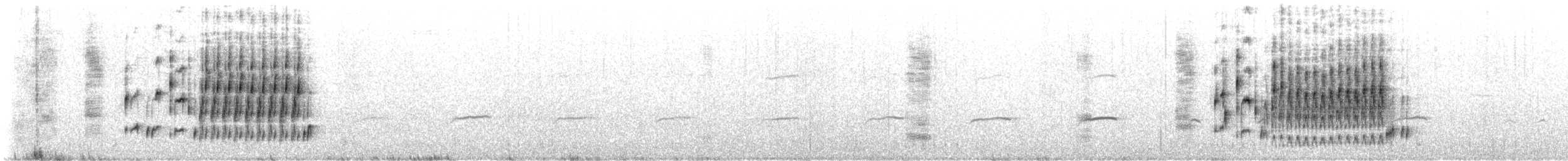 střízlík bažinný [skupina palustris] - ML621199550