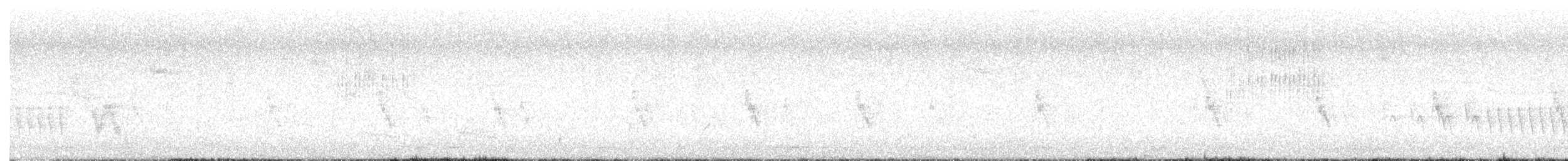 drozd brávník - ML621200628