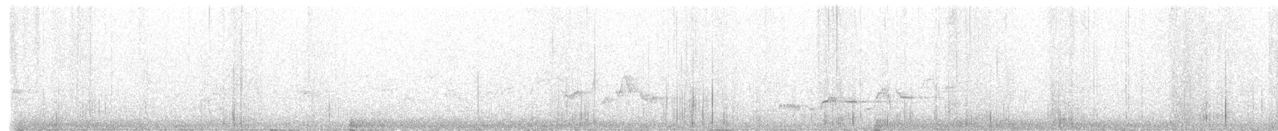 Дрізд-короткодзьоб Cвенсона - ML621201462