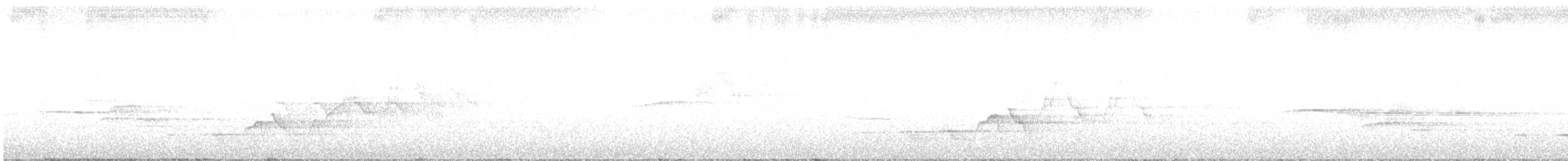 Дрізд-короткодзьоб Cвенсона - ML621202751
