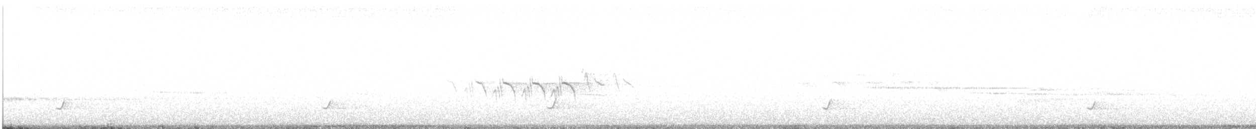 キヅタアメリカムシクイ（auduboni） - ML621202769