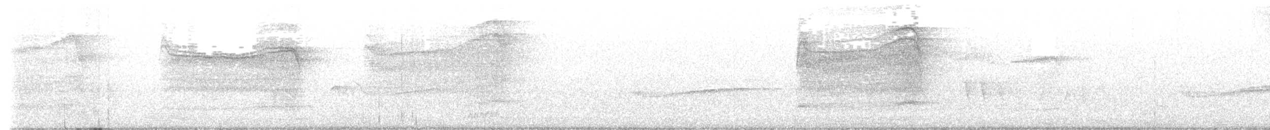 Chouette rayée - ML621203504