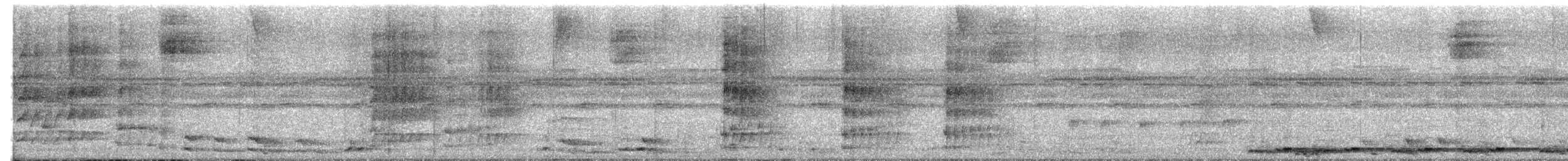 Черноухий зубцеклювый перепел - ML621204071